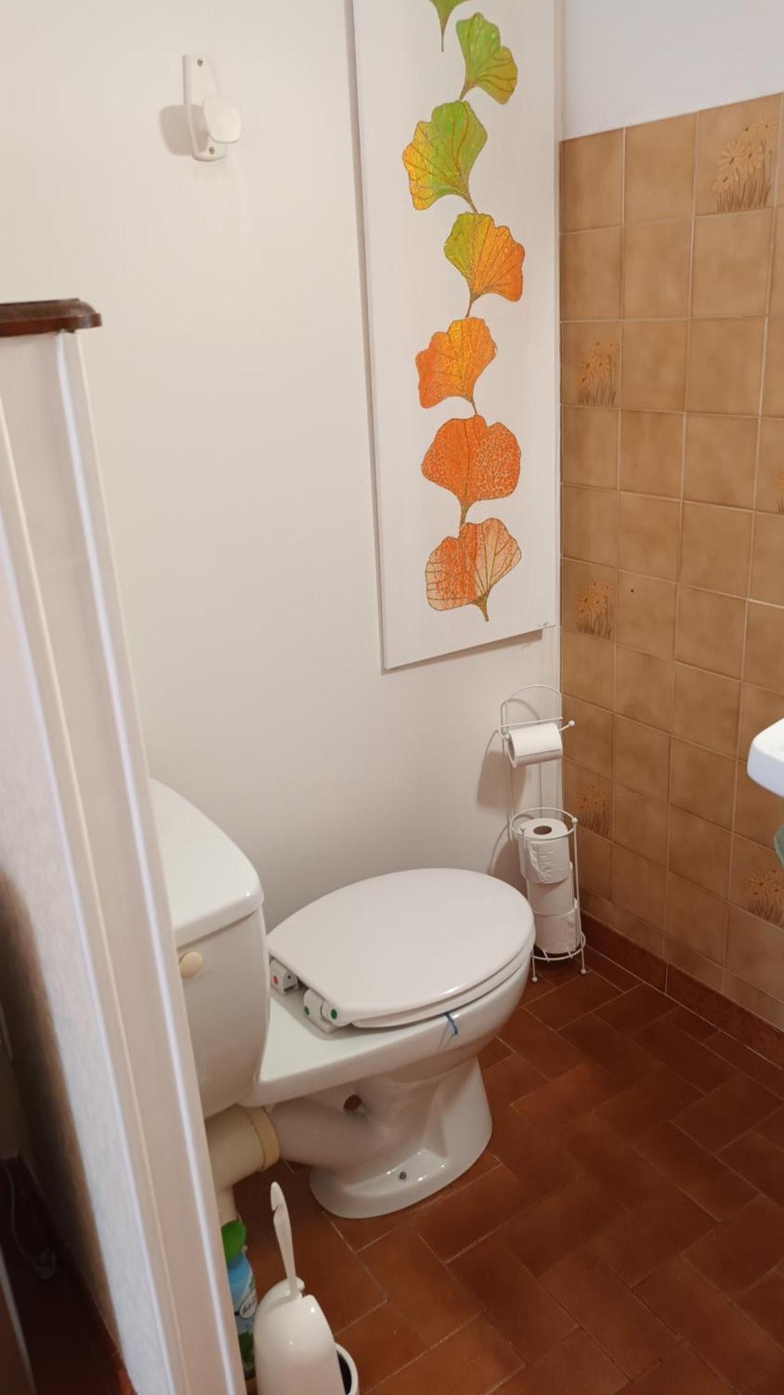 Gentil Coquelicot Apartman Mirepoix  Kültér fotó